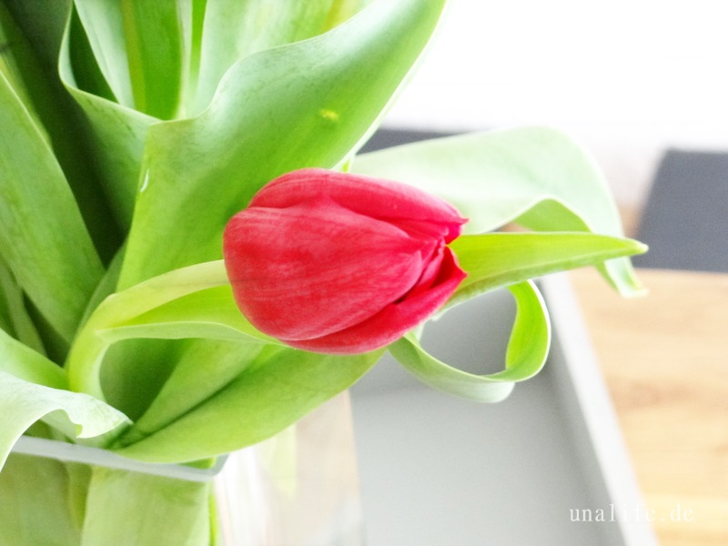 rote Tulpen Vase