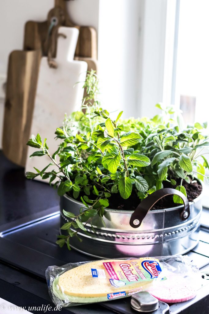 Mein Indoor Kräutergarten & eine bombastische Kräutersuppe zu Ostern