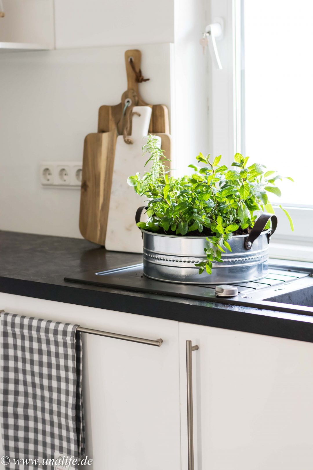 Mein Indoor Kräutergarten & eine bombastische Kräutersuppe zu Ostern