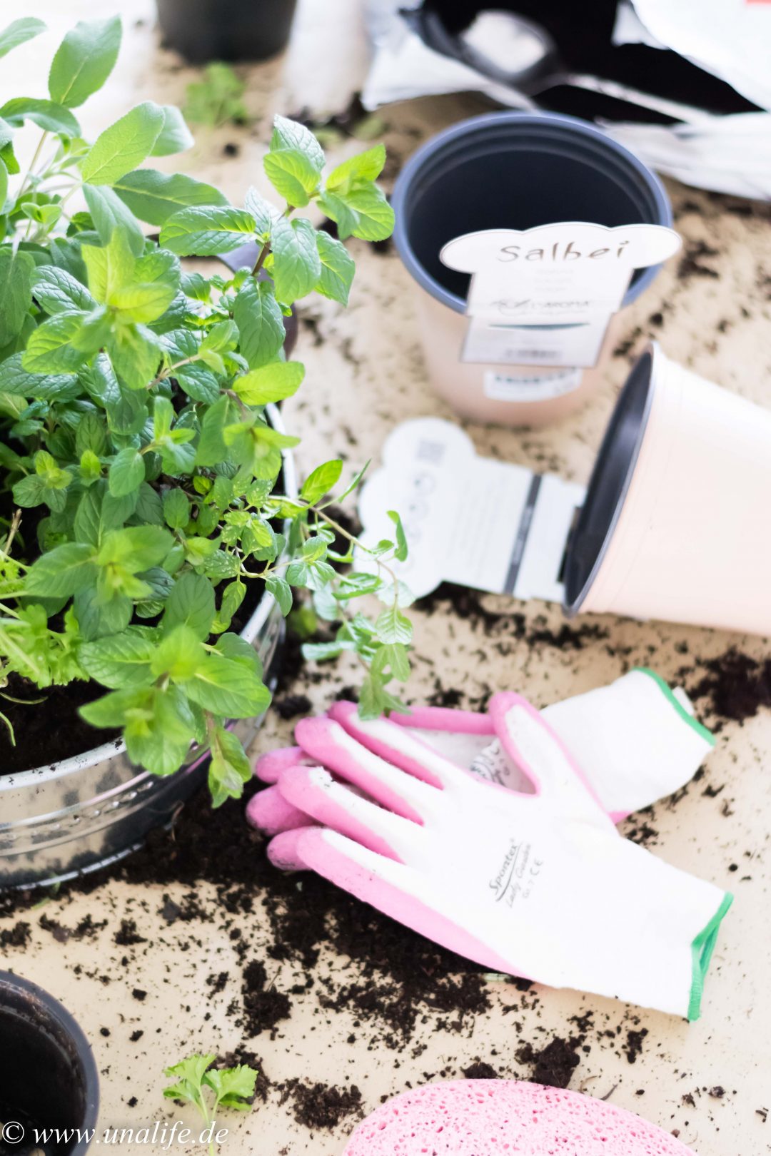 Mein Indoor Kräutergarten & eine bombastische Kräutersuppe zu Ostern