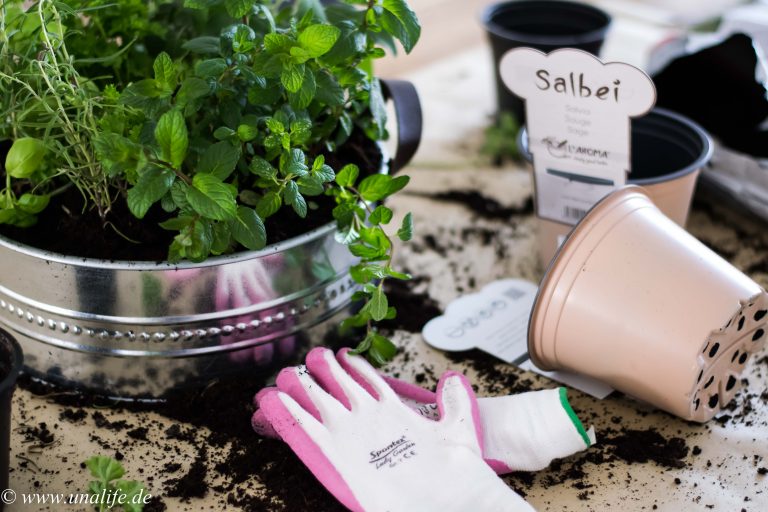 Mein Indoor Kräutergarten & eine bombastische Kräutersuppe zu Ostern